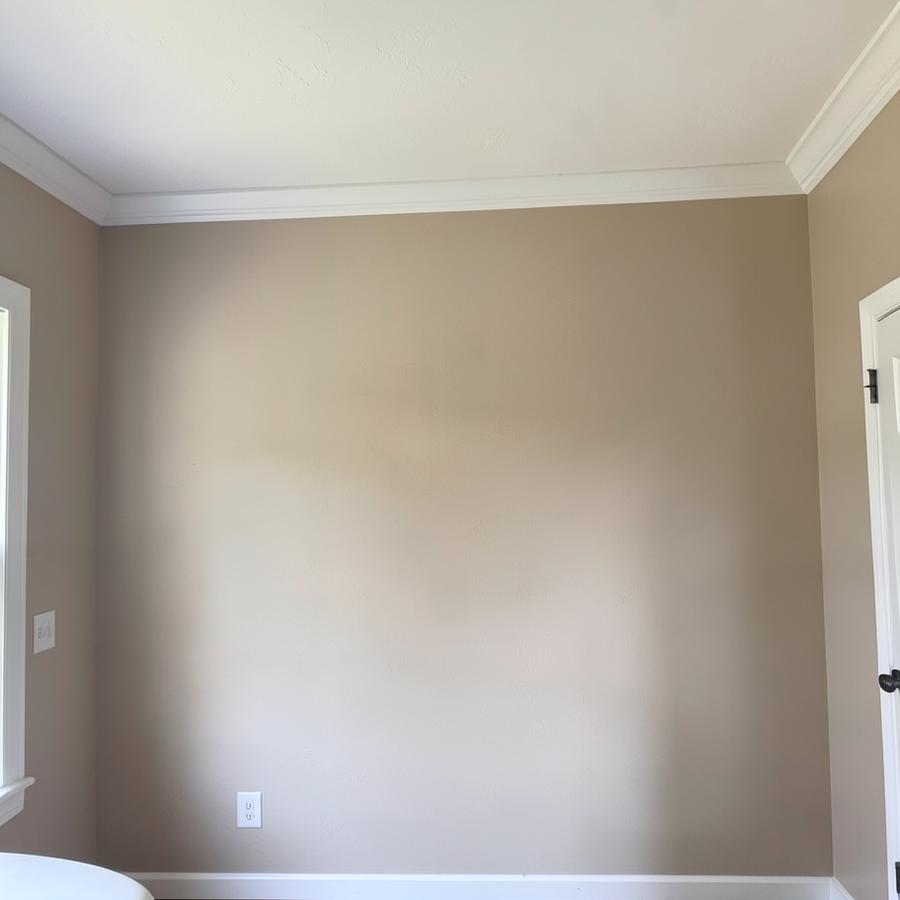Freshly painted interior wall with crisp white trim